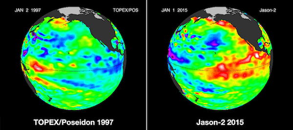 A side-by-side comparison of Pacific Ocean sea surface height during the 1997 and 2015 El Niño events.