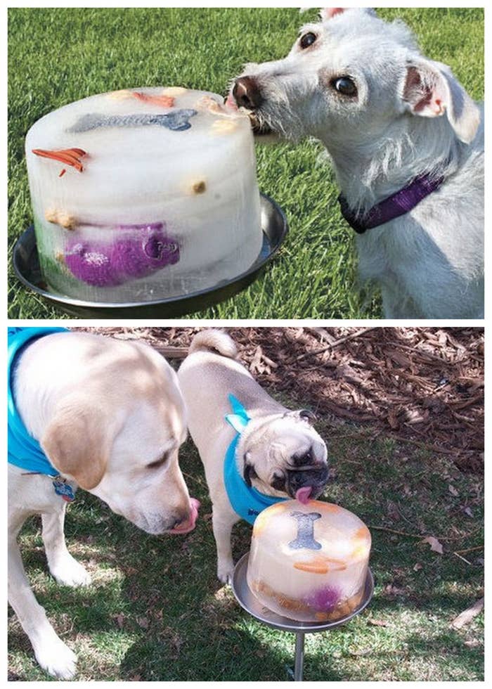 25 Genius Hacks That Make Having A Dog So Much Easier