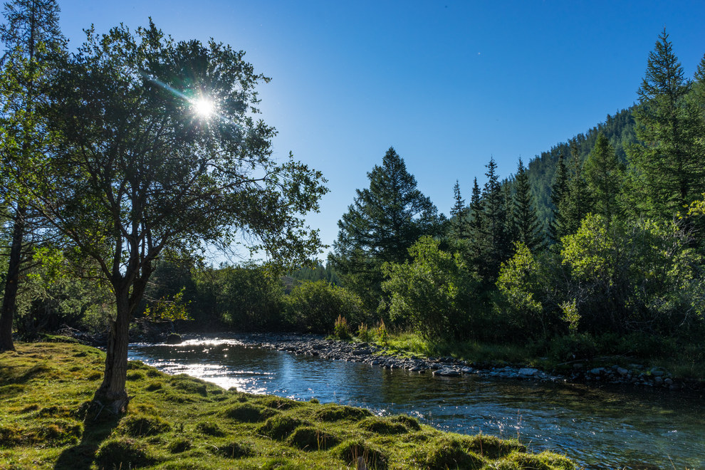 The parks feel a bit smoggy and dirty at times.