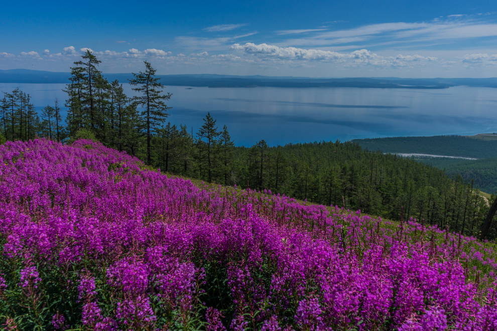 The colors are dull AF.