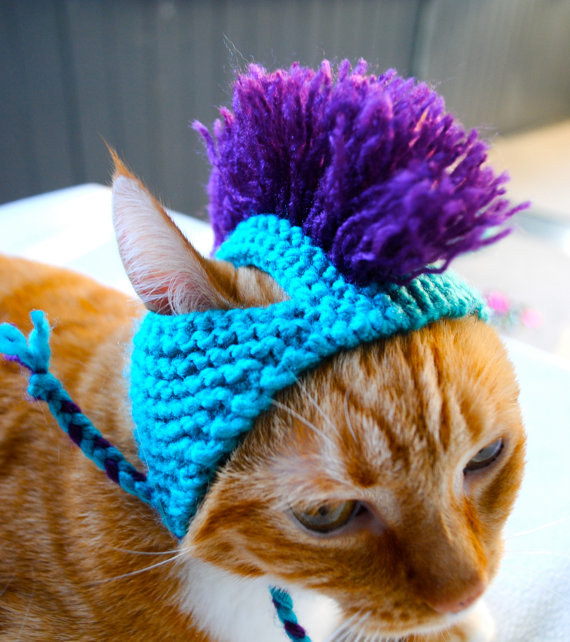 Because your cat is cooler than you.