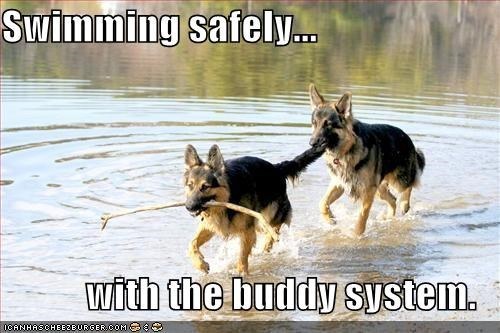At camp, you needed a buddy for all water related activities, and while you've probably learned how to swim without water wings by now, a buddy is no less useful for an adult. Text each other to make sure you get home from the bar alright, and pack an extra cookie in your lunch for them.