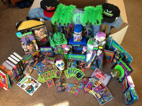 This Girl's "Goosebumps" Collection Will Give You Epic ...