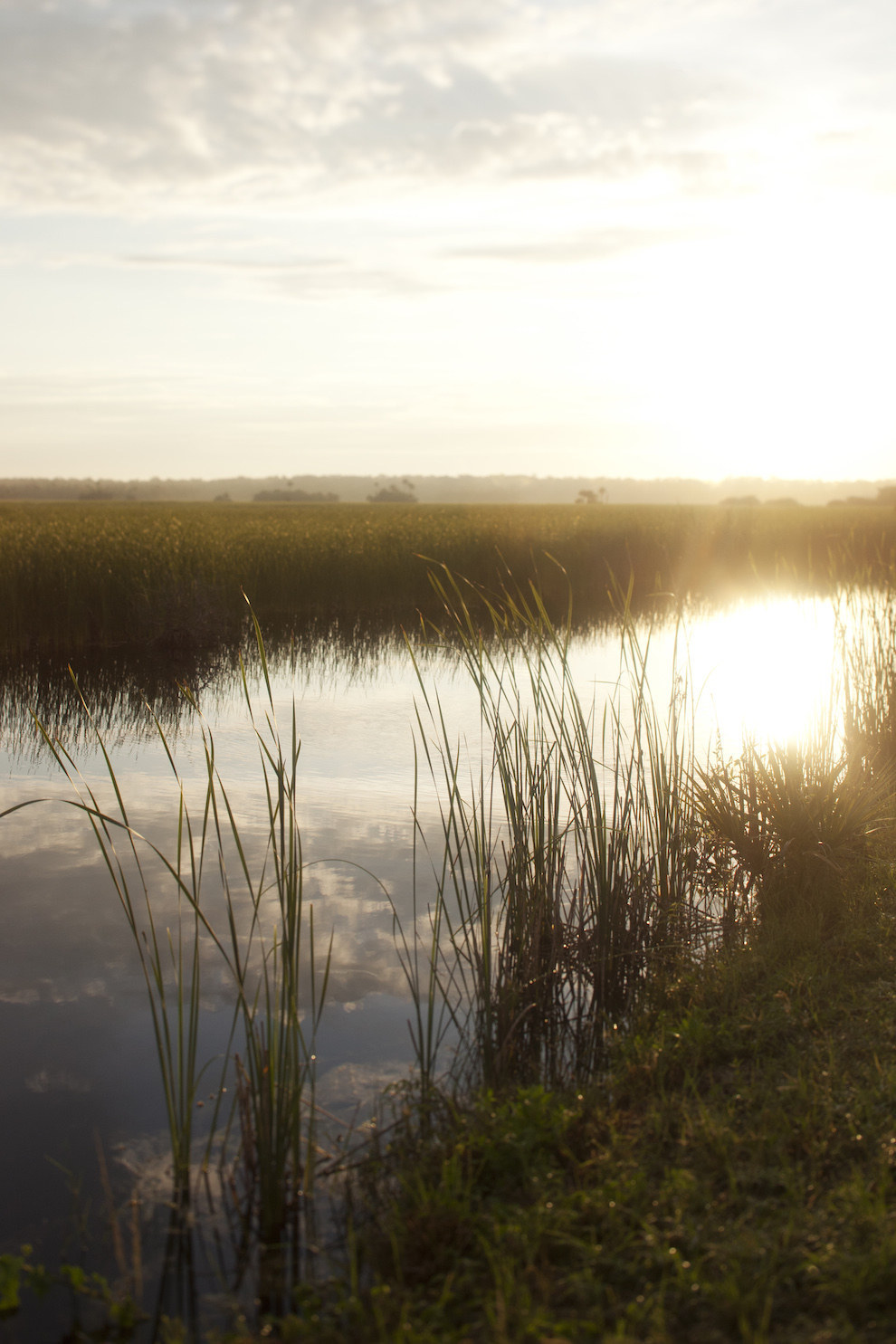 Everglades National Park (Florida)