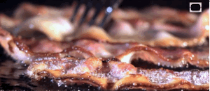 Bacon