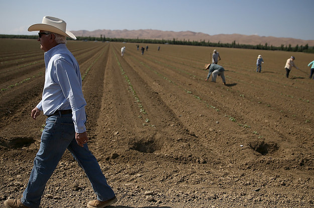 the-ground-in-california-is-literally-sinking-thanks-to-the-drought