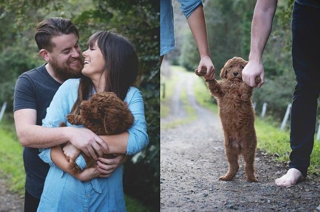 [Imagem: um-casal-fez-uma-sessao-de-fotos-com-seu...dblbig.jpg]