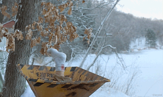 Woodchipper Buscemi