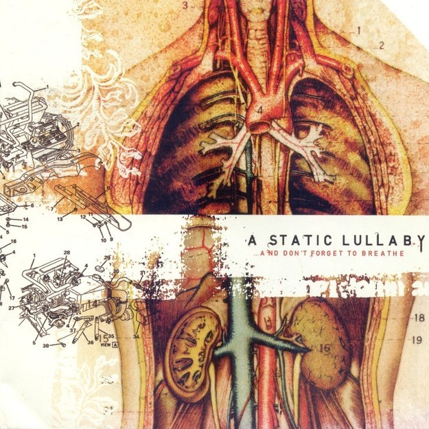 27 Bands That 2000s Screamo Kids Loved