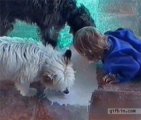Sometimes you help.
