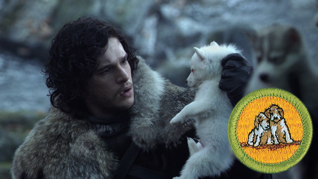 Requirements: Scouts must show knowledge in proper raising and training of dogs as well as responsible pet ownership.Jon Snow has earned his badge by being the only Stark to actually keep his direwolf alive for five seasons.