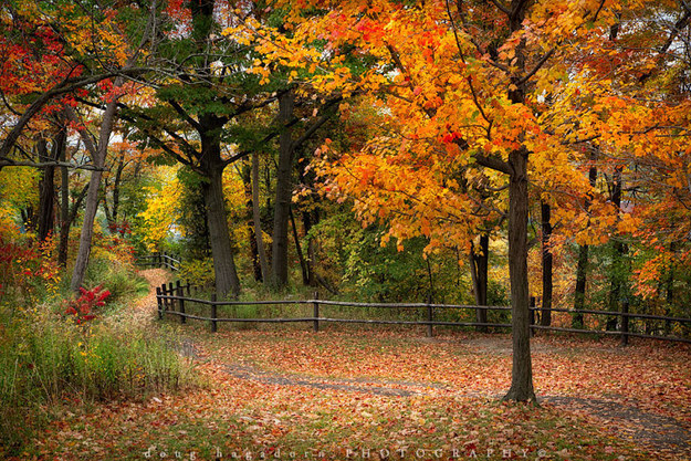 14 Reasons To Get Ready For Fall In Canada