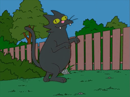 Purr-ty Average