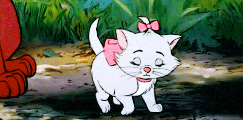 Upper-Middle Cat