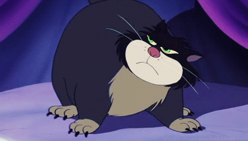 Aristo-cat