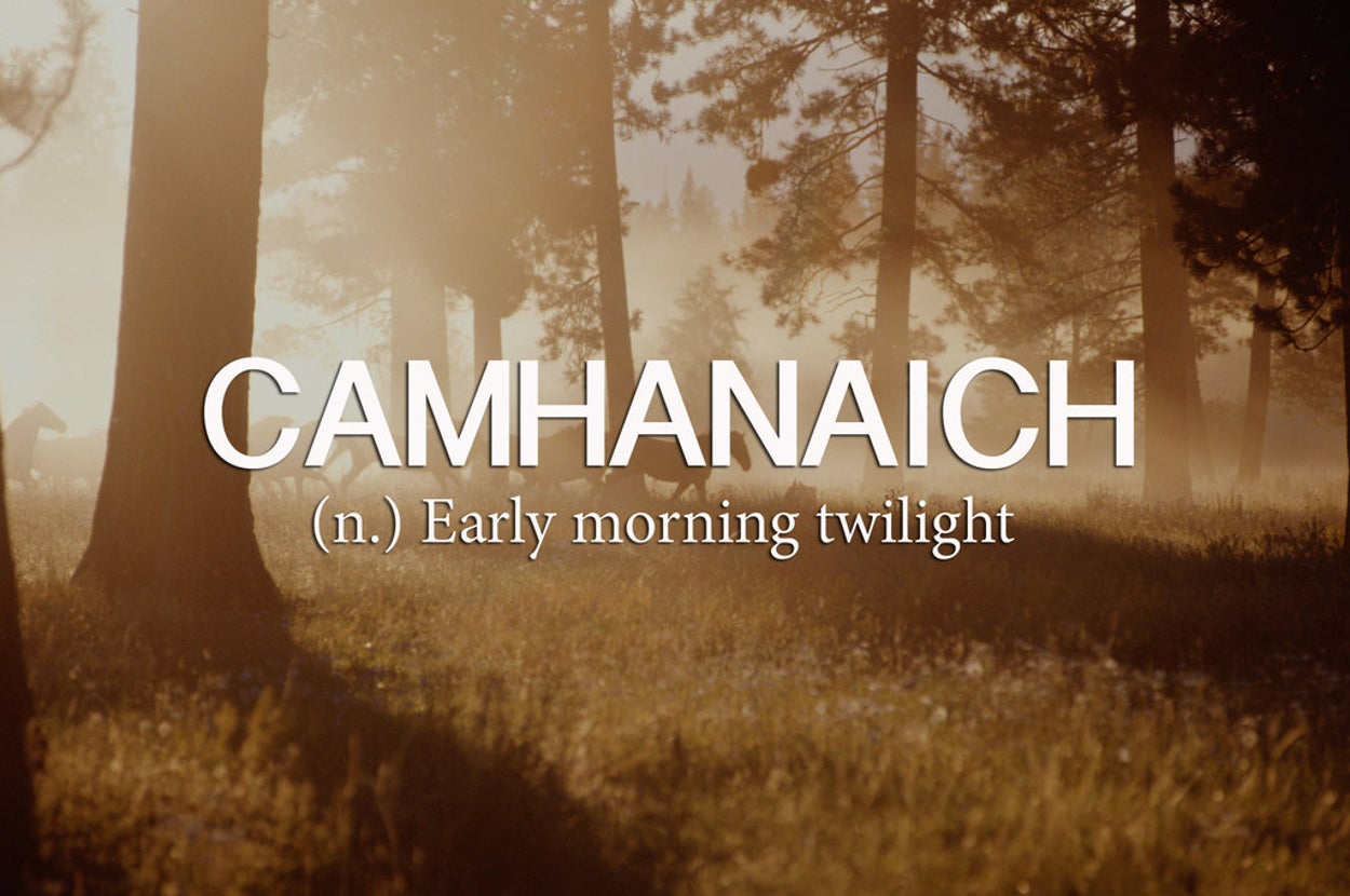 19 Beautiful Scottish Words That Everyone Needs In Their Life