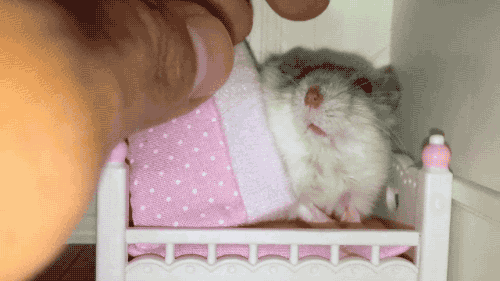 It's just so squashy and comfy.