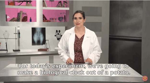 Experimenting with Megan Amram is a tongue-in-cheek series featuring the comedy writer and author of Science…for Her! Amram will do experiments and interview smart women — all while looking really good. This week we learn how to make a lady's most valuable asset: a biological clock!