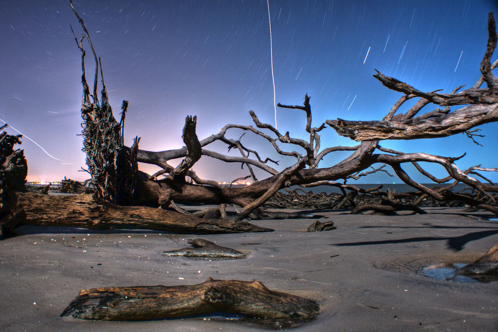 Where: Golden Isles, Georgia. What: You're not on another planet — this is just the most naturally scenic beach you've ever seen. Why: Because, look at it.