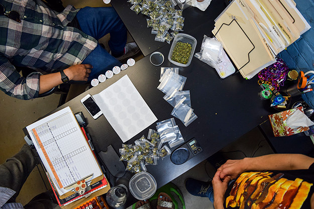 You will need to have an active medical marijuana recommendation from a doctor, but there aren't as many legal hoops to jump through.