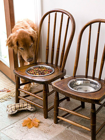 DIY Pet Feeding Station - Featuring Wouldn't it be Lovely