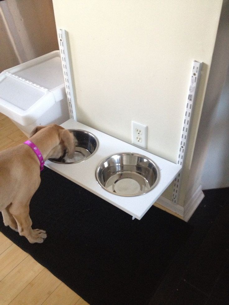 How to Make a Decorative Yet Functional Pet Feeding Station Tips