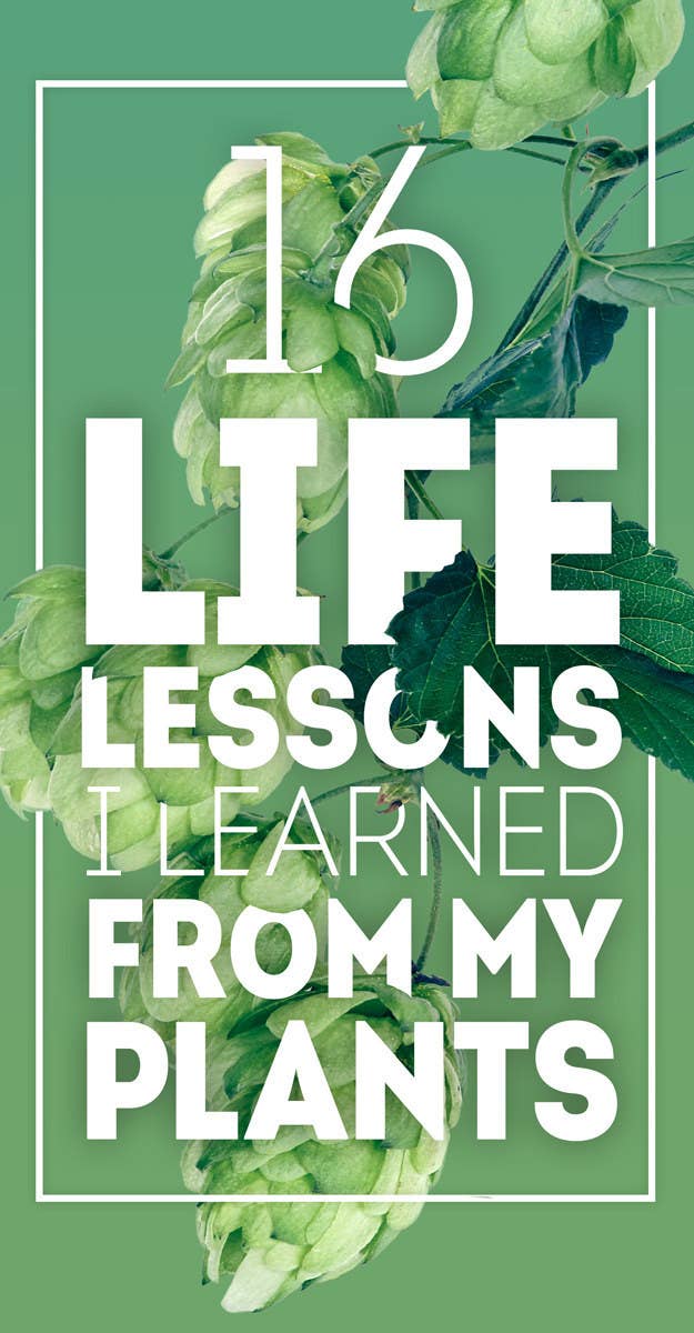 The Lessons you've Learned from the Past, are the Lessons you will