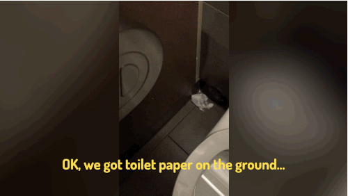 How shitty!
