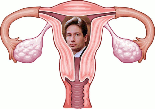 Gordon told BuzzFeed she was inspired to create the campaign Saturday while reading about Trump's comments. In the midst of dealing with her own period and listening to Cher's "Red" (Yes!), she found herself thinking, "Man, I would love to do nothing more than tweet at Trump and let him know I'm on my period." The site provides an easy way to do just that (complete with instant emojis).