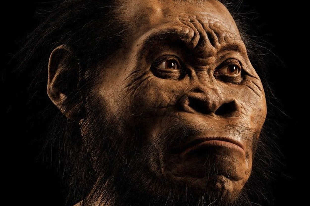 Un Normal Humans 9 Science Stories You Can't Miss: The Weird New Humans Edition
