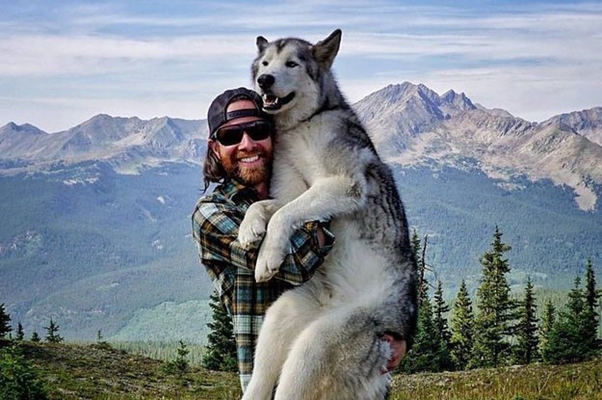 This Man And His Wolfdog Will Make You Want To Go Hiking Right Now