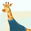 giraffesinturtlenecks