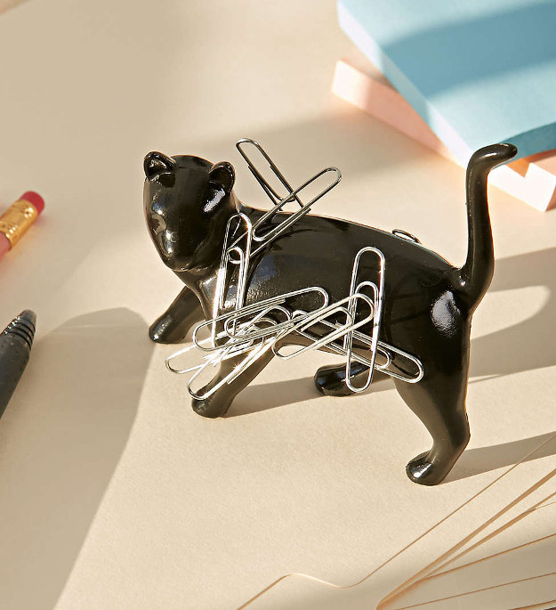 Find Cat Magnet here.