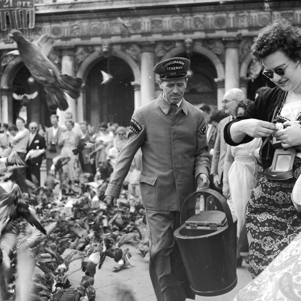 The bustle of tourists, pigeons, and public servants in Venice. Circa 1955.