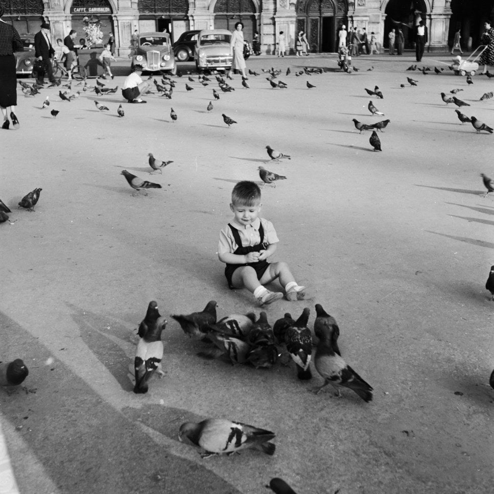 Un petit garçon s&#x27;amuse avec les pigeons de la Piazza del Unita à Triesta. Vers 1950.