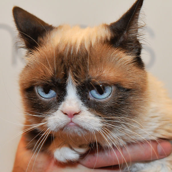 15 Pets That Look So Much Like Food It Will Make You