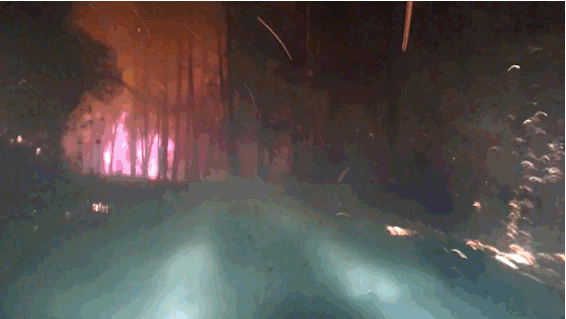 The driver wrote back, explaining, "We are the last house at the very back of the Springs, down in a gulch. There was no smoke or ash coming our way, and there were no sirens or air support nearby, so we honestly didn't know how close it was."