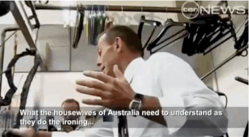"What the housewives of Australia need to understand as they do the ironing is that if they get it done commercially it's going to go up in price," he said, setting off howls of outrage around the nation.