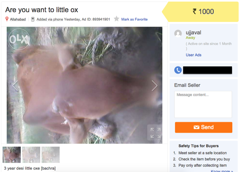 lol pets olx