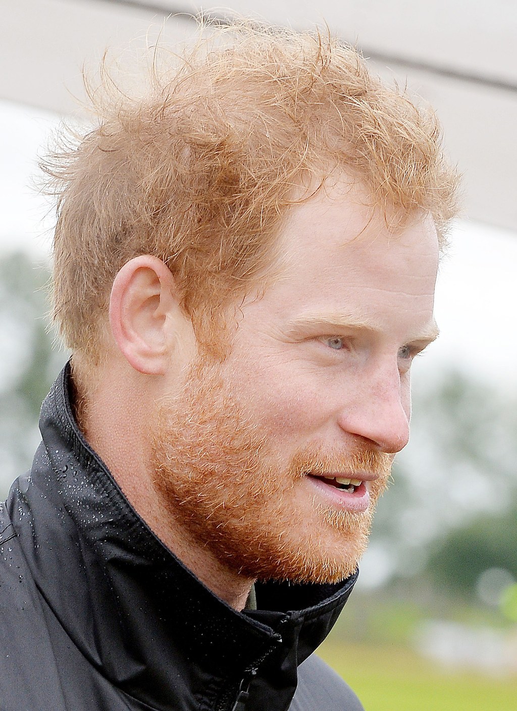 Prince Harry Has Grown A Scruffy Beard For His Birthday And People Are ...