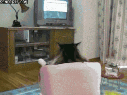 Just one more episode, you said. You'll be in bed before 1 a.m., you said.