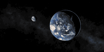 Here Is An Accurate Scale Model Of The Solar System