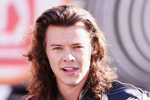 Harry Styles Hair