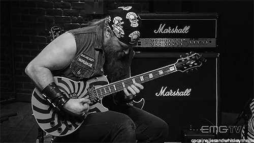Essayez et vous verrez qu'il est largement plus simple de jouer du Cabrel que du Motörhead. Les virtuoses sont nombreux dans le metal! Que ce soit à la guitare, à la basse, à la batterie ou au chant.