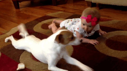 Buddy's crawling school, currently in session.