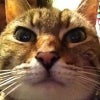 lizh424ea4ab9
