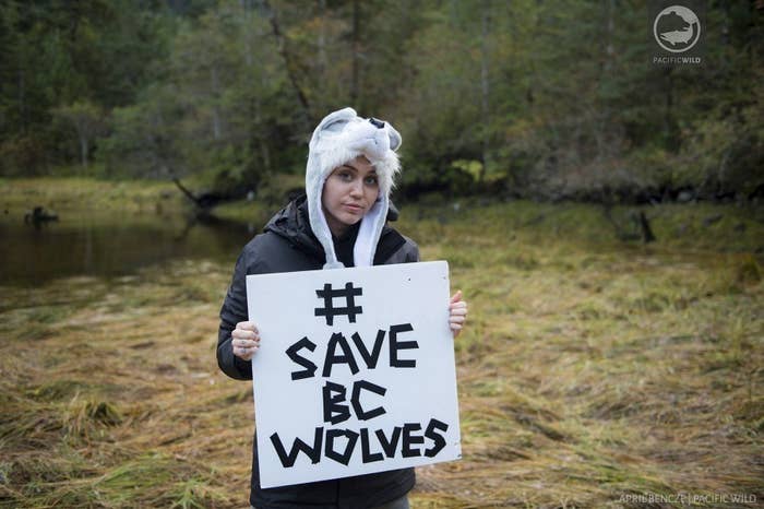 Miley Cyrus Visited B.C. And Said It Was The Best Day Of Her Life