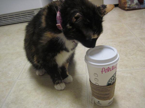 "It's actually spelled Ashaleigh but whatever."