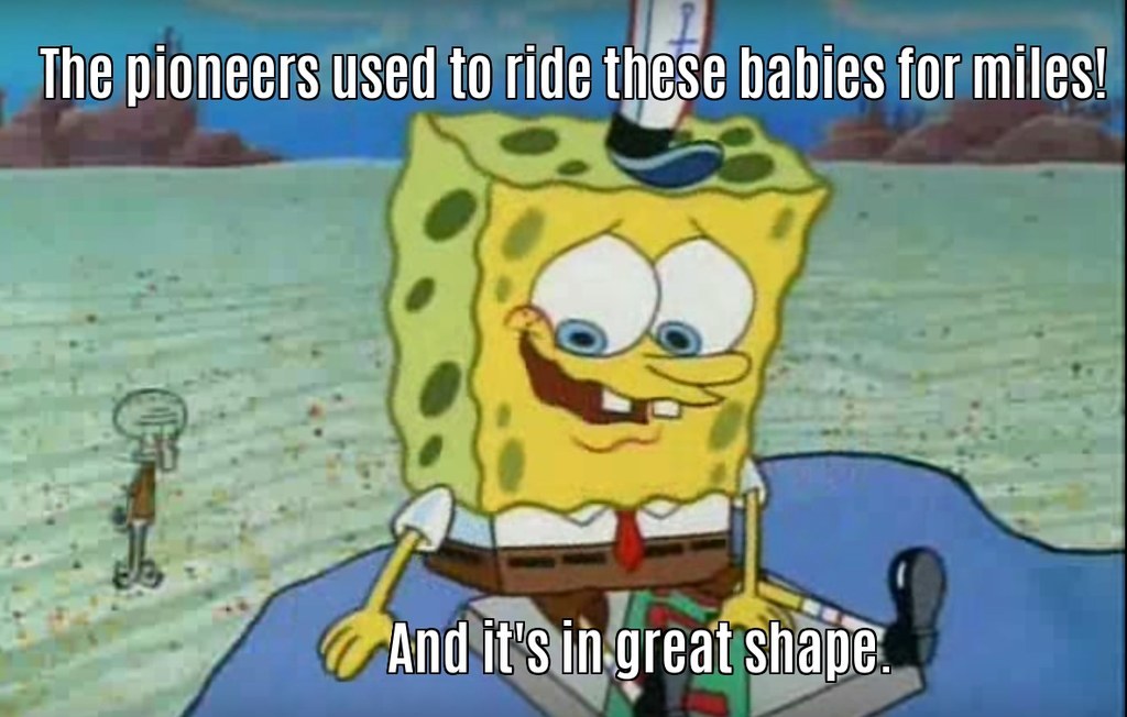 25 Of The Most Hilarious Spongebob Quotes