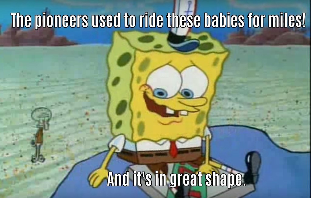 funny pictures with captions spongebob